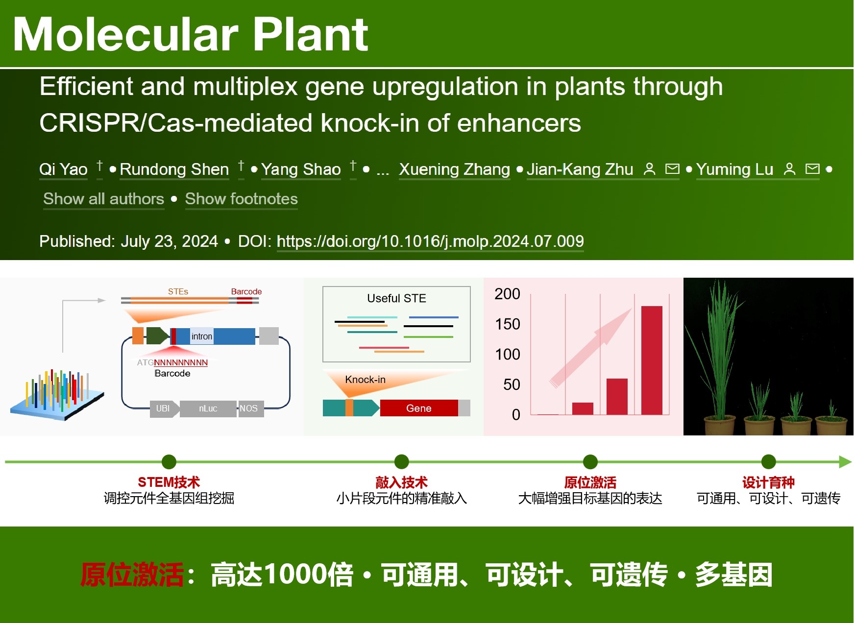 2024新澳门原料网大全